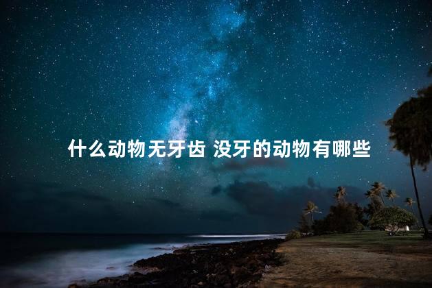 什么动物无牙齿 没牙的动物有哪些